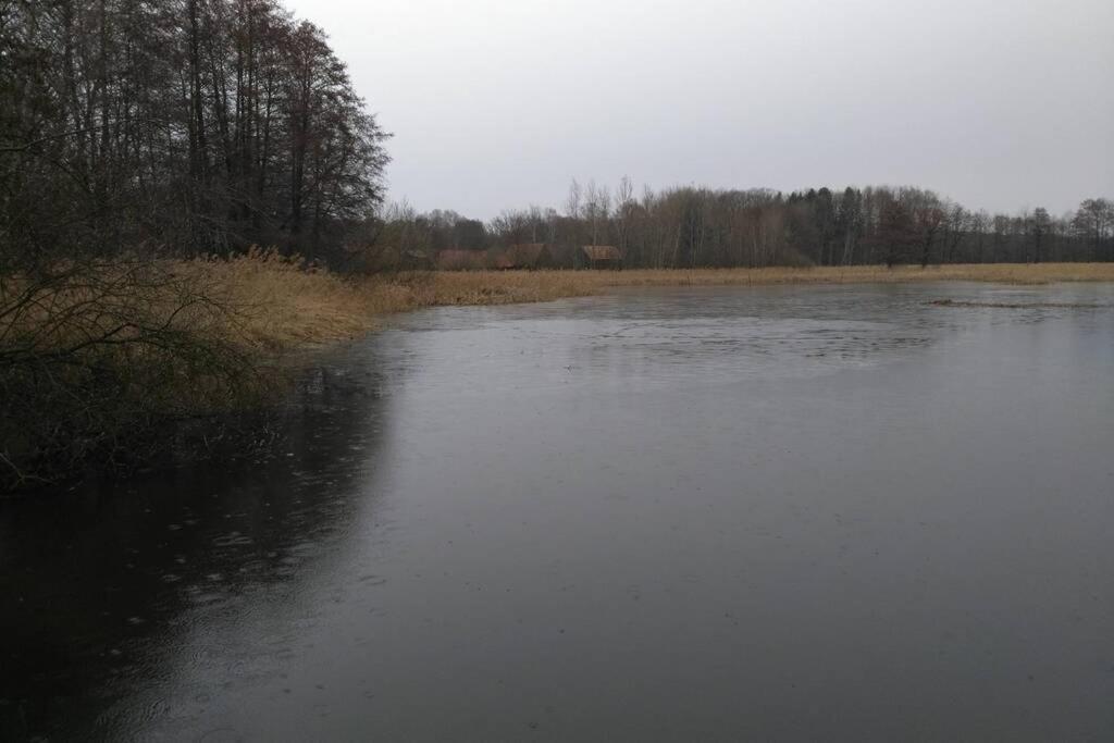Rietschen, Natur Erleben المظهر الخارجي الصورة